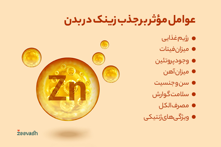 عوامل مؤثر بر جذب زینک در بدن